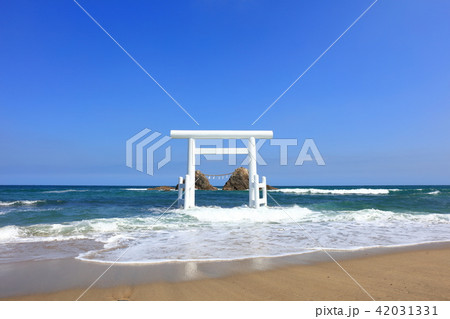 福岡県糸島市志摩桜井 時化の二見ヶ浦夫婦岩_改修後2018年撮影 福岡県糸島市志摩桜井 時化の二見ヶ浦夫婦岩_改修後2018年撮影 42031331