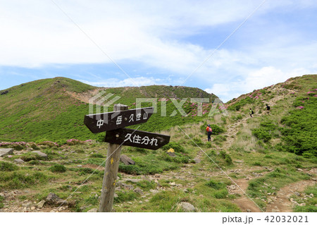 ミヤマキリシマ咲く九重連山・久住山 42032021