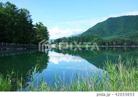 早朝の木崎湖　水鏡　7月　大町市 42033653