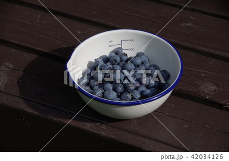 ブルーベリー 42034126