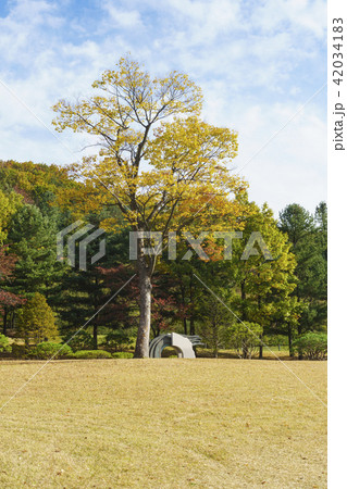 原州市 江原道 屋外 42034183
