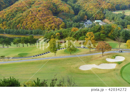 原州市 江原道 屋外 42034272