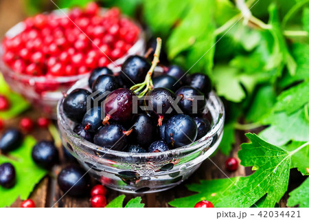 Ripe redcurrant and blackcurrant in glass bowls Ripe redcurrant and blackcurrant in glass bowls 42034421