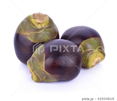 Asian Palmyra palm,  Sugar palm and Cambodian palm 42034619