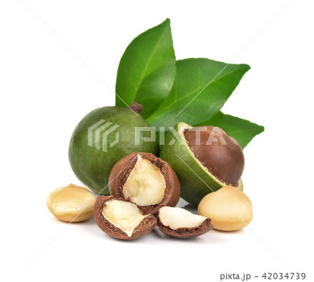 macadamia nuts on white background 42034739
