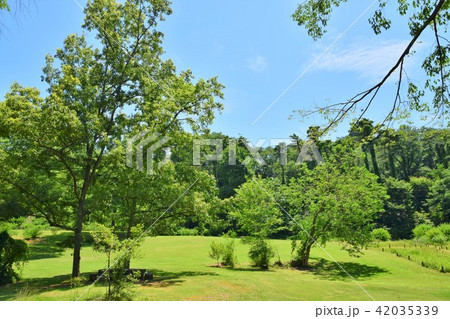 仙台　野草園　広場 42035339