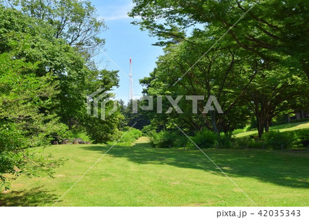 仙台　野草園　広場 42035343