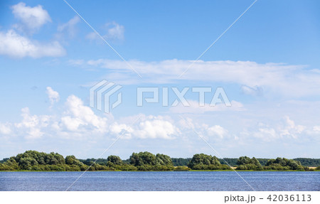 Coast of Volkhov River under blue sky Coast of Volkhov River under blue sky 42036113