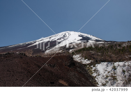 御庭・富士山の残雪(山梨県) 御庭・富士山の残雪(山梨県) 42037999
