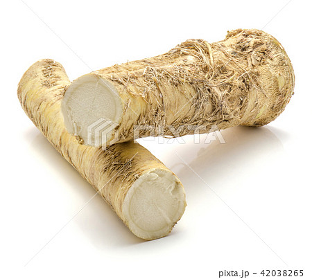 Fresh horseradish isolated on white Fresh horseradish isolated on white 42038265