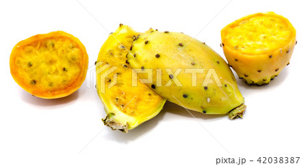 Fresh opuntia isolated on white 42038387