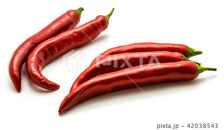 Fresh red chilli pepper isolated Fresh red chilli pepper isolated 42038543