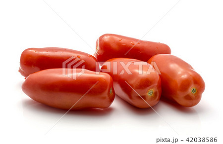 Fresh san marzano tomato isolated on white Fresh san marzano tomato isolated on white 42038586