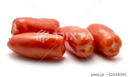 Fresh san marzano tomato isolated on white 42038591
