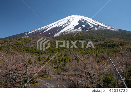 奥庭・富士山の奥庭自然公園(山梨県) 奥庭・富士山の奥庭自然公園(山梨県) 42038726