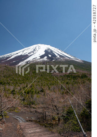 奥庭・残雪の富士山を奥庭自然公園から(山梨県) 奥庭・残雪の富士山を奥庭自然公園から(山梨県) 42038727