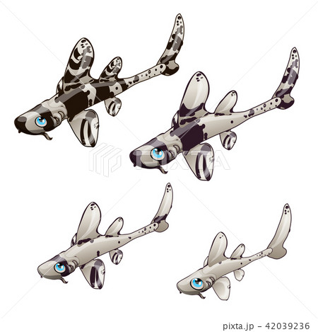 Cartoon white and black fish isolated on a white background. Vector illustration. 42039236