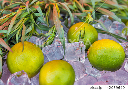 fresh whole limes closeup on ice cubes 42039640