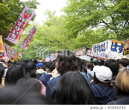お祭り お祭り 42040243
