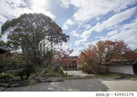 京都・秋の醍醐寺 京都・秋の醍醐寺 42041179