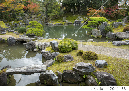京都・秋の醍醐寺 42041188