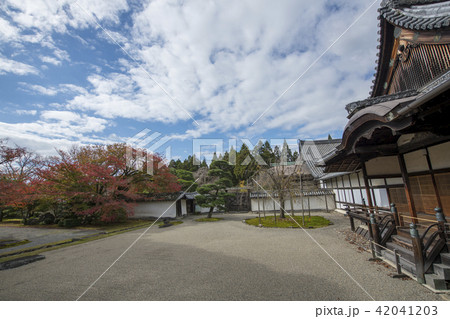 秋の京都・醍醐寺三宝院庭園 秋の京都・醍醐寺三宝院庭園 42041203