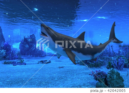 Great white shark underwater 3d illustration 42042005