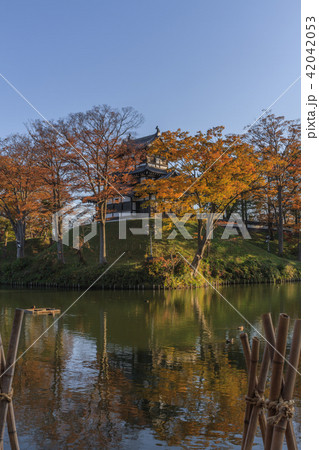 秋の高田城の風景 42042053