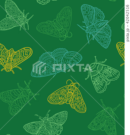 Green contour butterfly and moth set. Vector surface design Green contour butterfly and moth set. Vector surface design 42042516