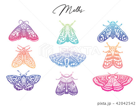 Gradient collection of moth, decorative style. Modern abstract butterflies, vector illustration 42042542