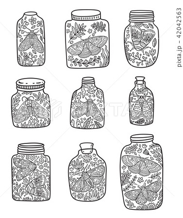 Nine hand drawn floral jar with moth and butterfly in outline. Ink vector illustration Nine hand drawn floral jar with moth and butterfly in outline. Ink vector illustration 42042563