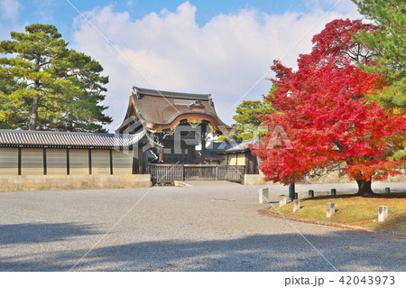 錦秋の京都御苑 42043973