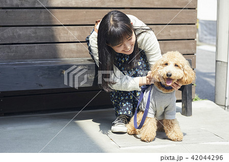 女性 犬の散歩の写真素材