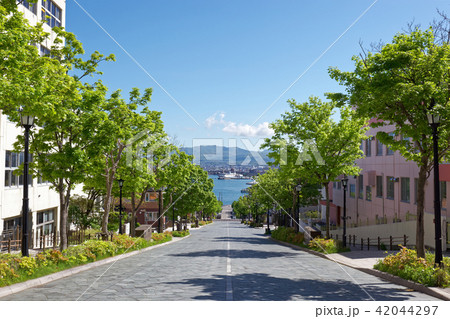 函館市・八幡坂 42044297