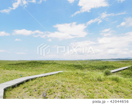 青空とその向こうに続く遊歩道 42044656