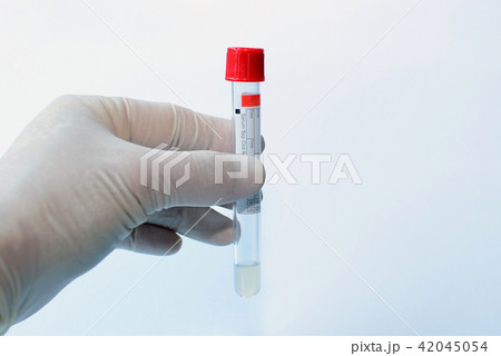 試薬 薬物 血清 42045054