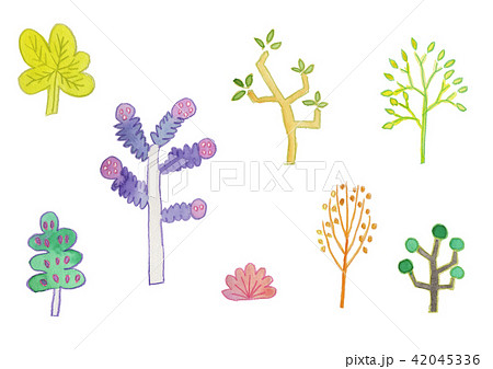 trees trees 42045336
