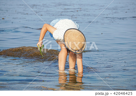 海で水遊びをする女の子、潮干狩りをする女の子 海で水遊びをする女の子、潮干狩りをする女の子 42046425