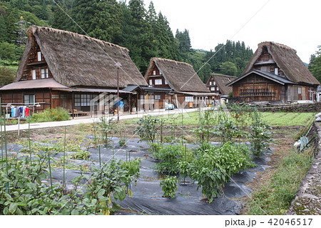 五箇山相倉集落 五箇山相倉集落 42046517