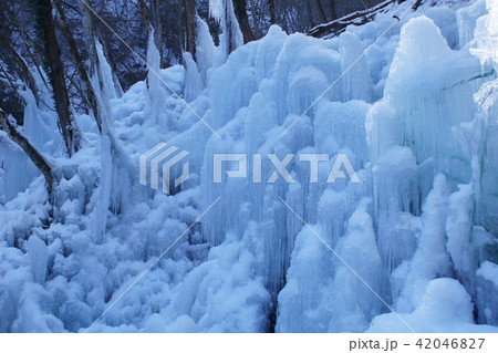 冬の尾ノ内渓谷 42046827