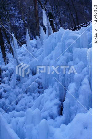 冬の尾ノ内渓谷 42046828