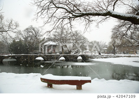 風景 雪景色 木 42047109