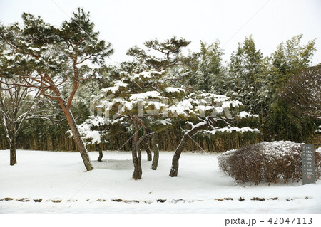 広寒楼 観光地 木 42047113