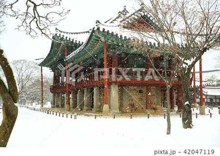 風景 雪景色 広寒楼 42047119