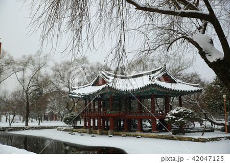 雪景色 広寒楼 旅行 42047125