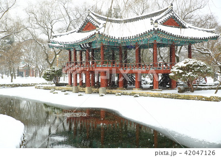 雪景色 広寒楼 旅行 42047126