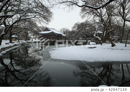 風景 雪景色 広寒楼 42047139