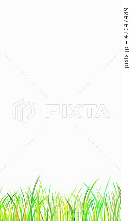 背景素材 草原 蛍のイラスト素材 [42047489] - PIXTA
