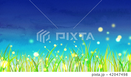 背景素材　草原　蛍 42047498