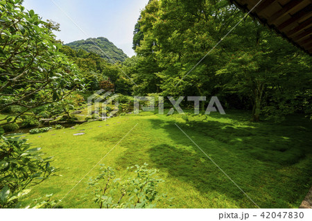 本吉山 清水寺  本坊庭園 42047830